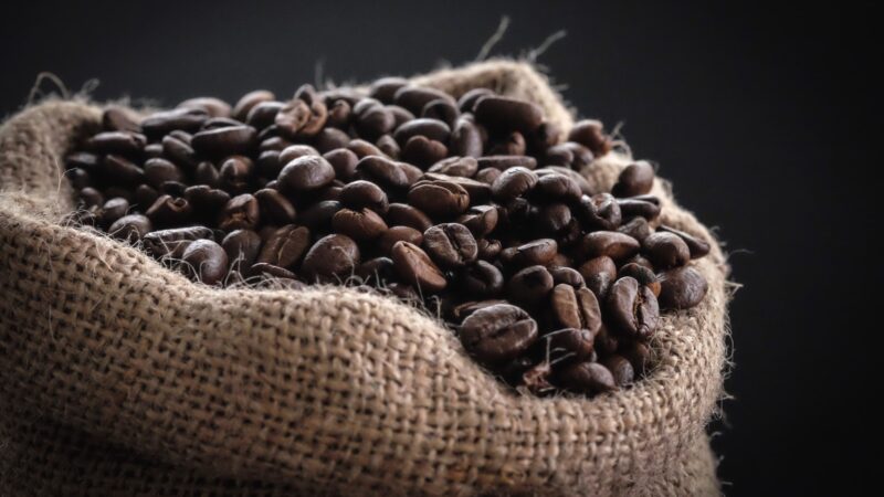 Les variétés de café en un coup d’œil – Le guide des saveurs