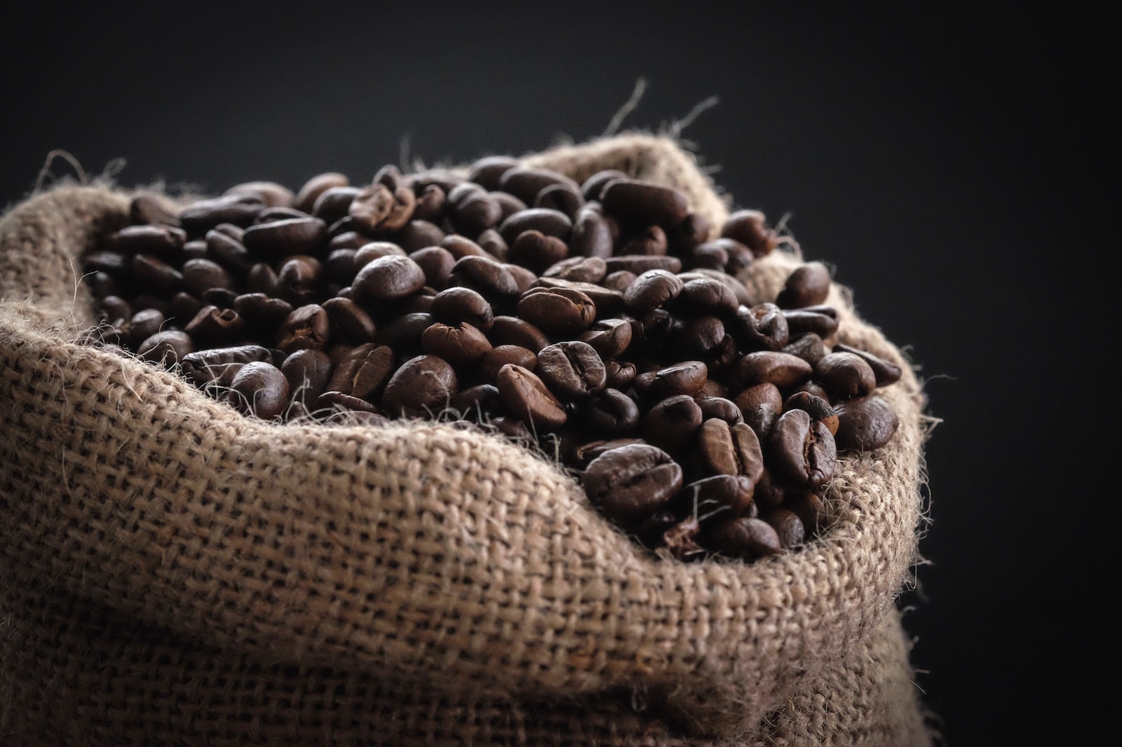 Les variétés de café en un coup d’œil – Le guide des saveurs